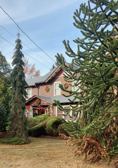 Resized_20241208_123429_1733704138678