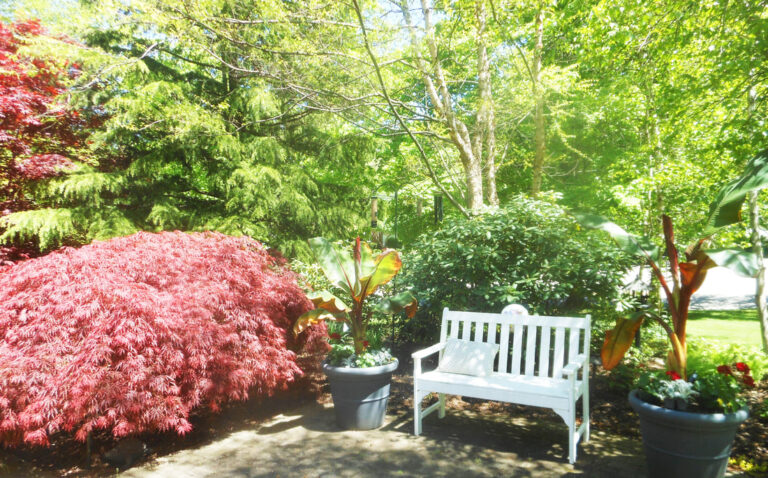 ernst-2019-05-11-134338_1_orig