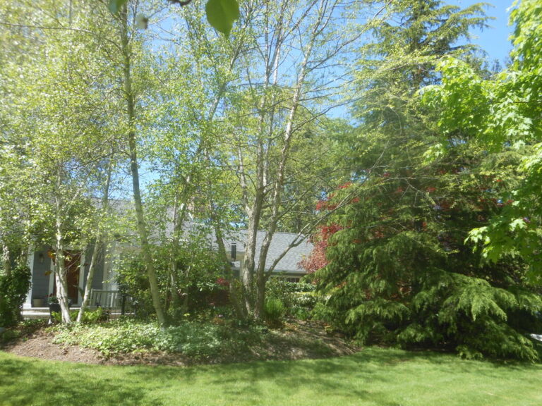 ernst-2019-05-11-134502_1_orig