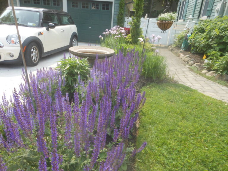 ernst-2019-06-01-095022_1_orig