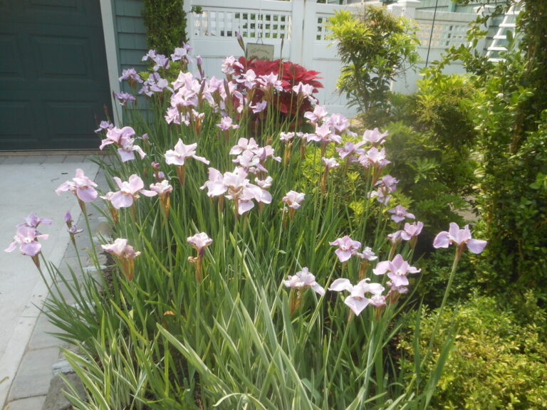 ernst-2019-06-01-095036_1_orig