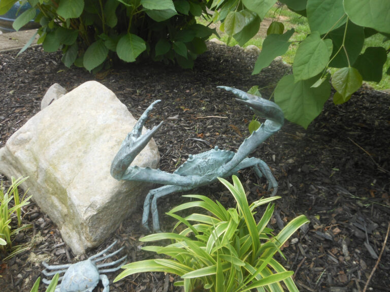 ernst-2019-06-01-095150_1_orig