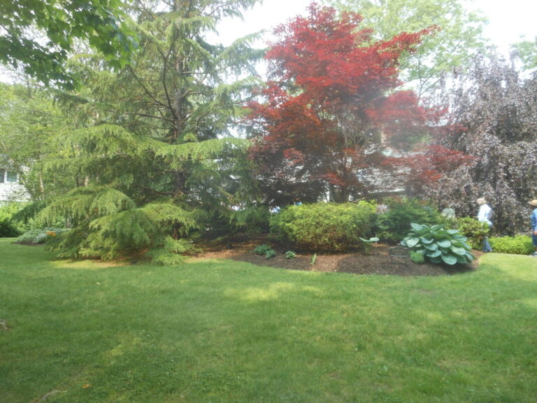 ernst-2019-06-01-102450_1_orig