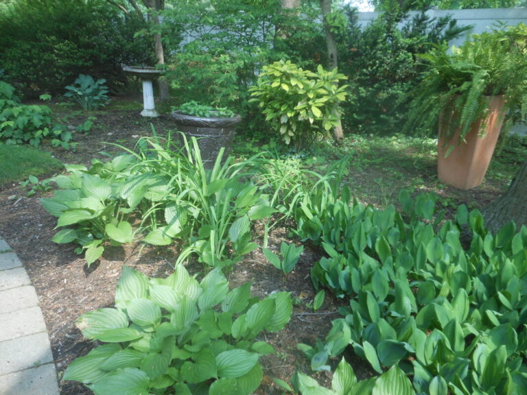 ernst-2019-06-01-102544_1_orig