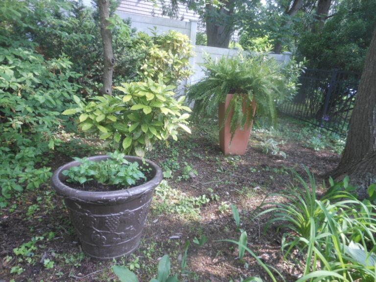 ernst-2019-06-01-102556_1_orig