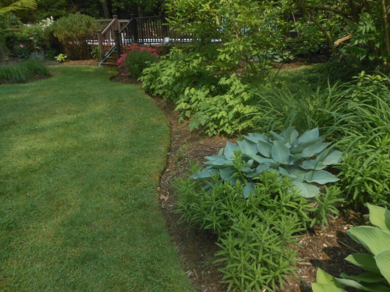 ernst-2019-06-01-103322_1_orig