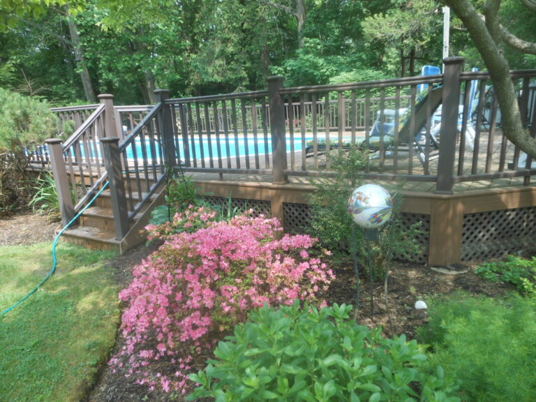 ernst-2019-06-01-103350_1_orig