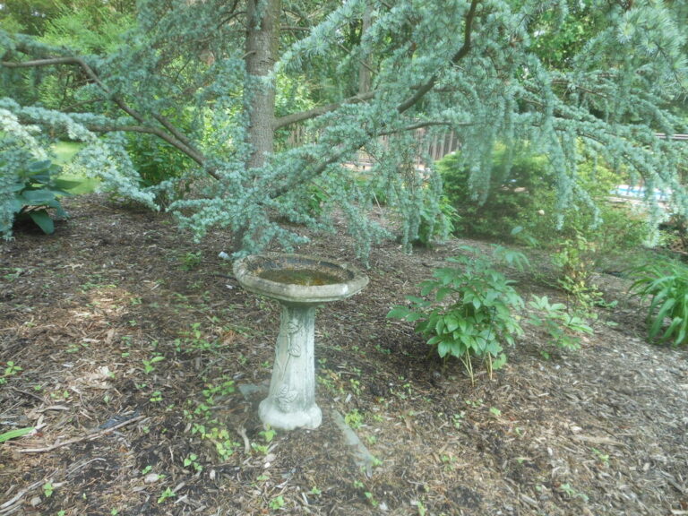 ernst-2019-06-01-103524_1_orig