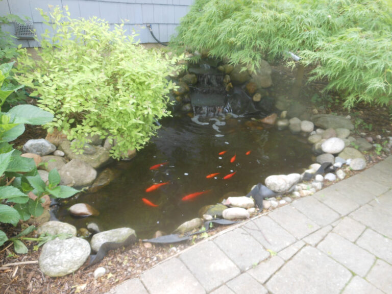 ernst-2019-06-01-103754_1_orig