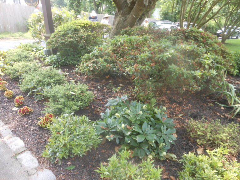 ernst-2019-06-01-111154_1_orig