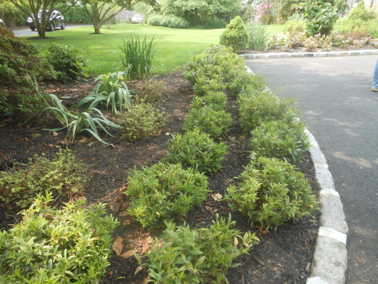 ernst-2019-06-01-111200_1_orig