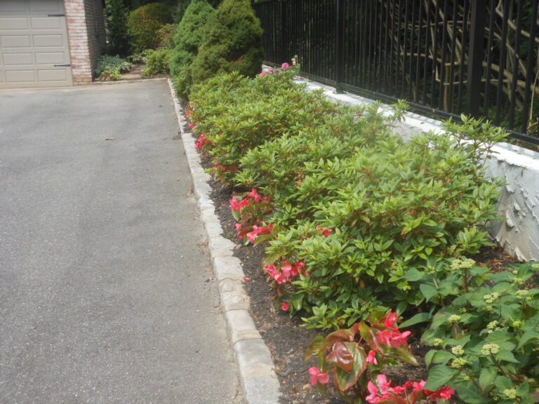 ernst-2019-06-01-111322_1_orig