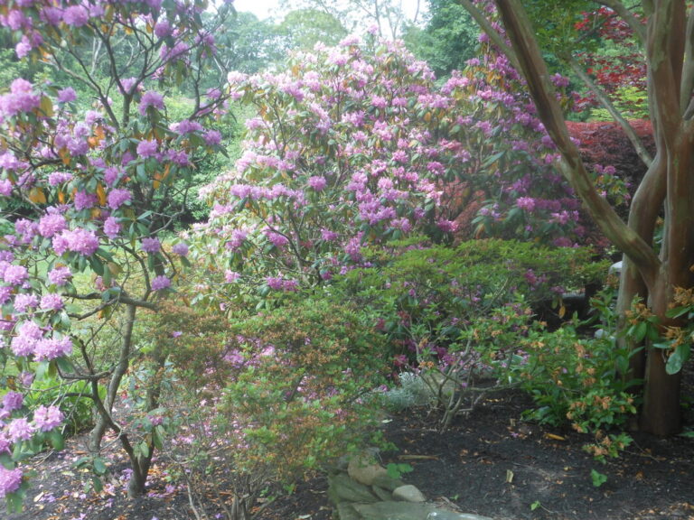 ernst-2019-06-01-111414_1_orig