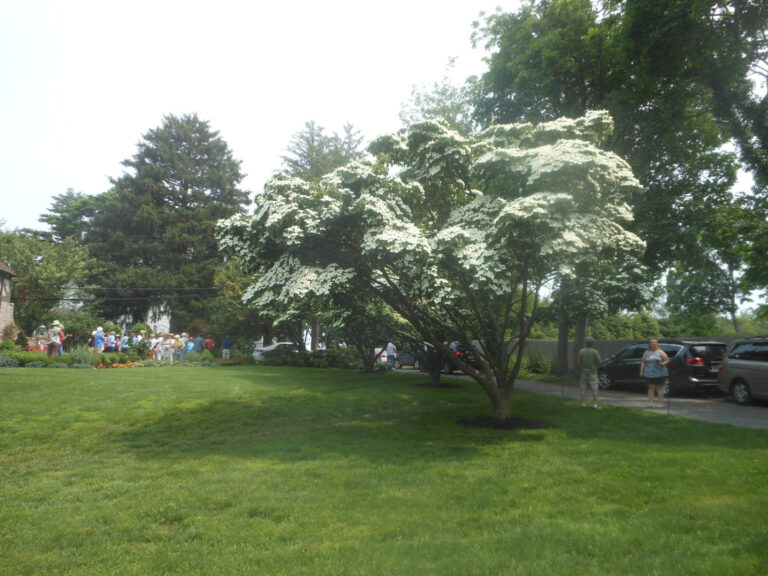 ernst-2019-06-01-111442_1_orig-1