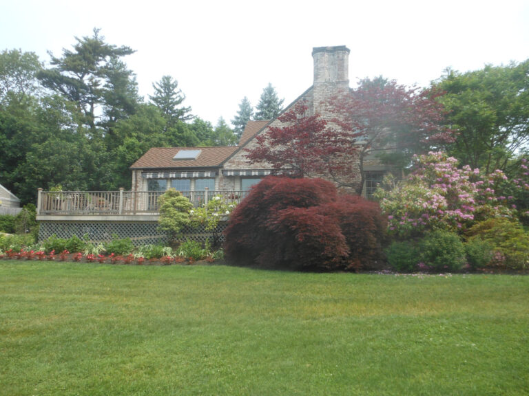 ernst-2019-06-01-111530_1_orig