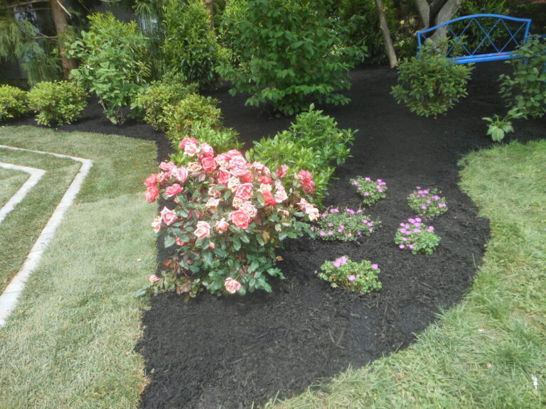 ernst-2019-06-01-111612_1_orig