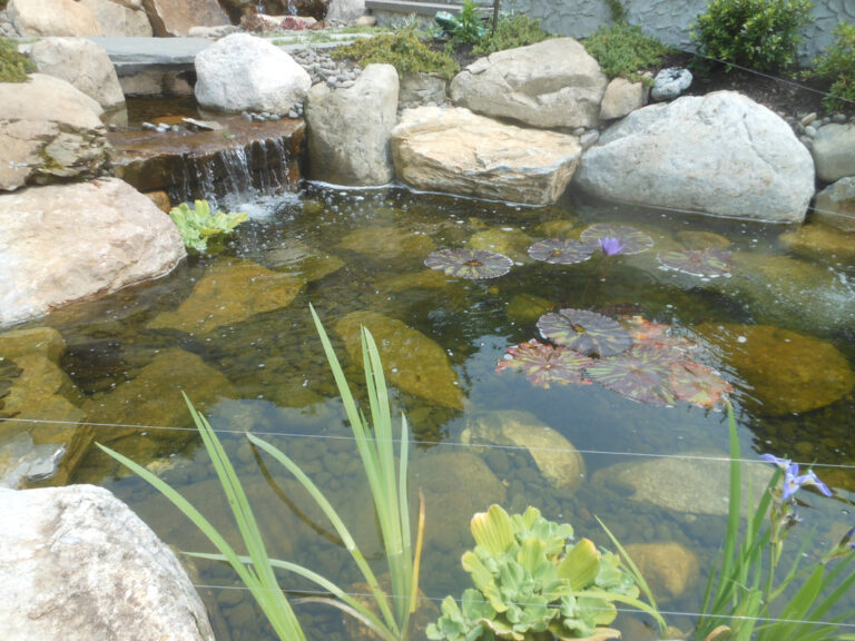 ernst-2019-06-01-111740_1_orig