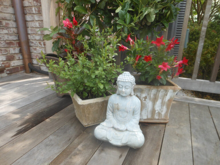 ernst-2019-06-01-112658_1_orig