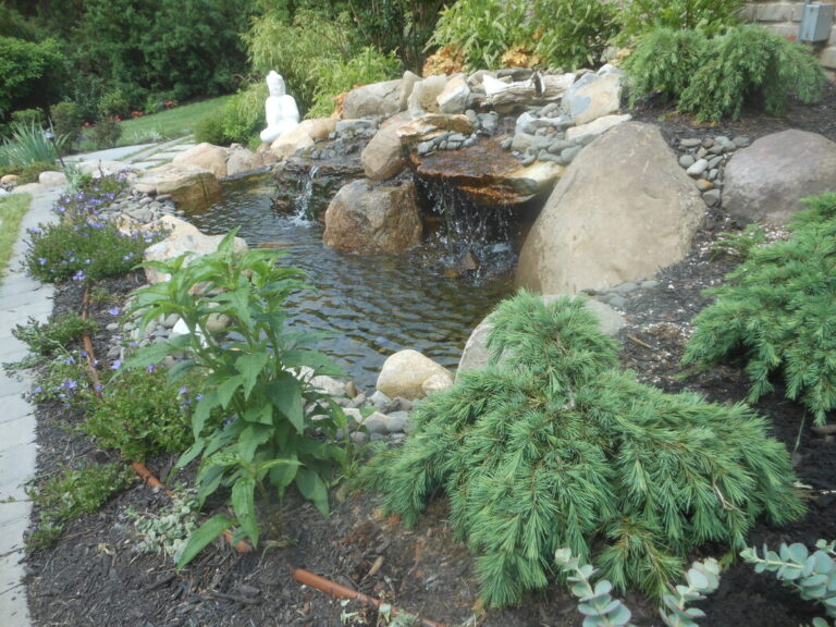 ernst-2019-06-01-112814_1_orig