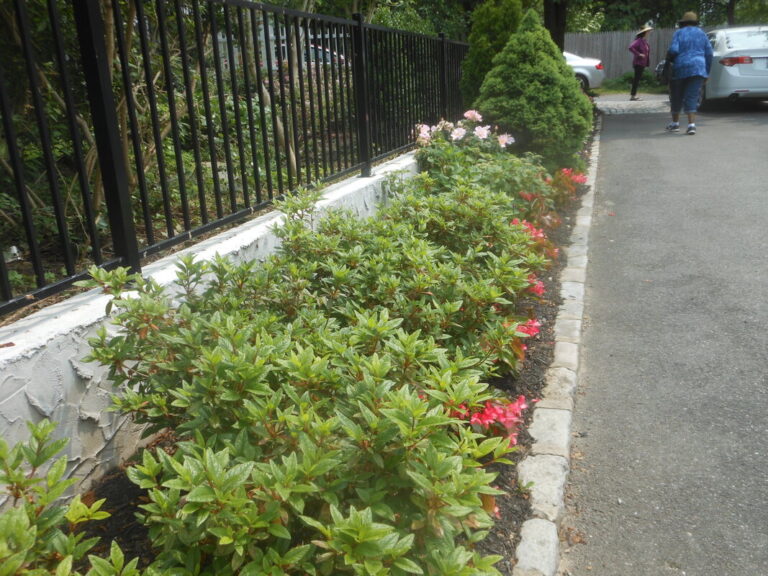 ernst-2019-06-01-112846_1_orig