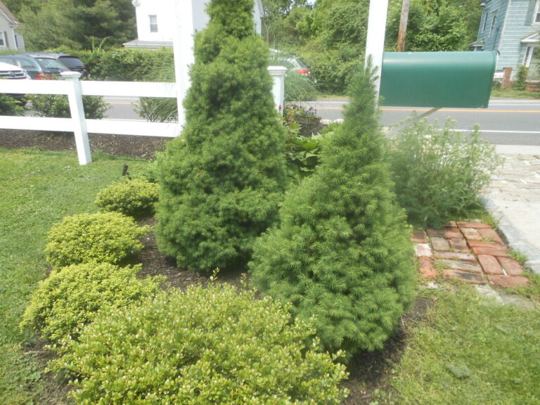 ernst-2019-06-01-115052_1_orig