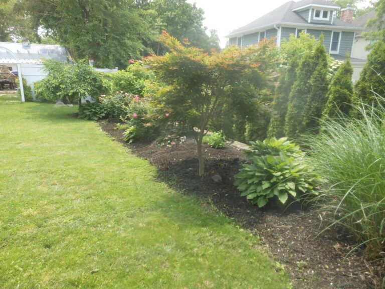 ernst-2019-06-01-115114_1_orig