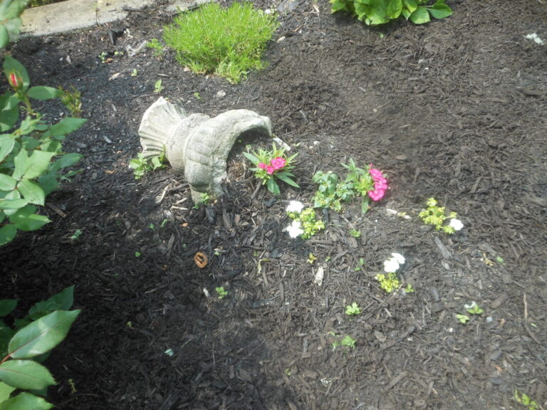 ernst-2019-06-01-115126_1_orig