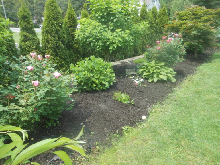 ernst-2019-06-01-115138_1_orig