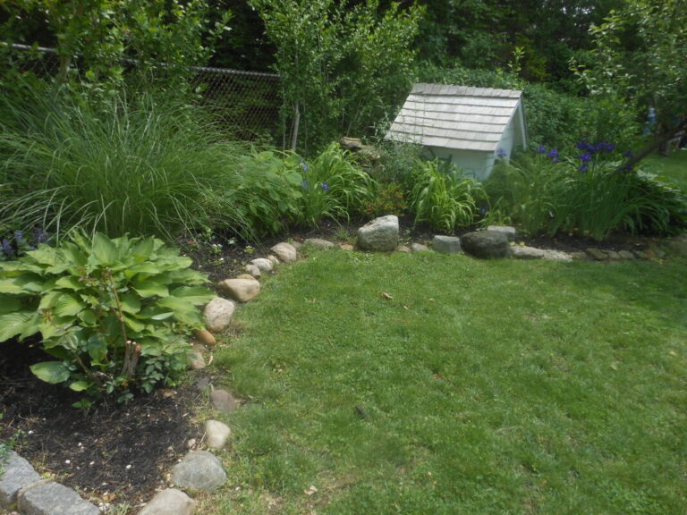 ernst-2019-06-01-115514_1_orig