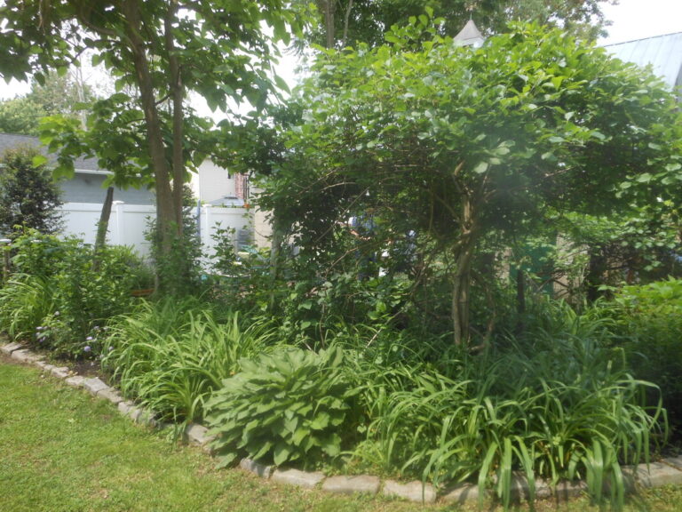 ernst-2019-06-01-115600_1_orig