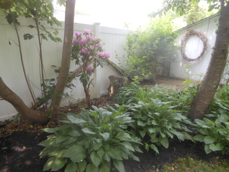 ernst-2019-06-01-115638_1_orig