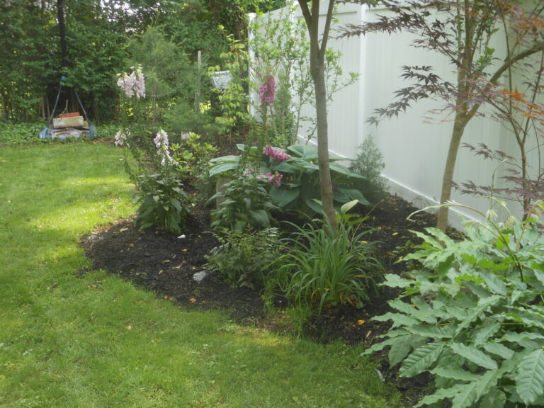 ernst-2019-06-01-115648_1_orig