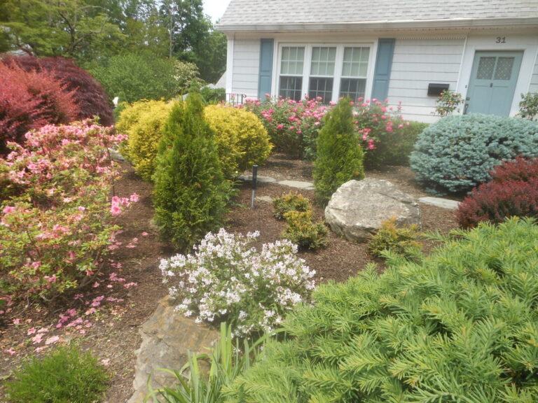 ernst-2019-06-01-121930_1_orig