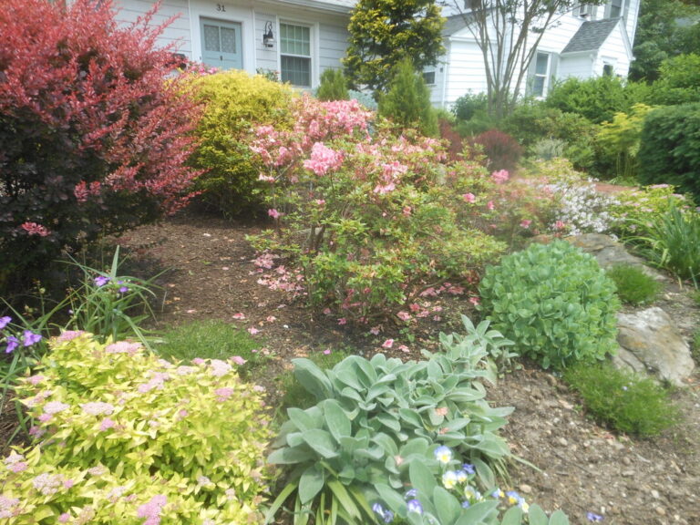 ernst-2019-06-01-121942_1_orig