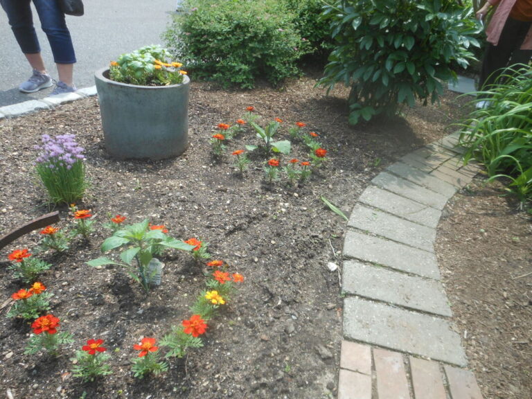 ernst-2019-06-01-122110_1_orig