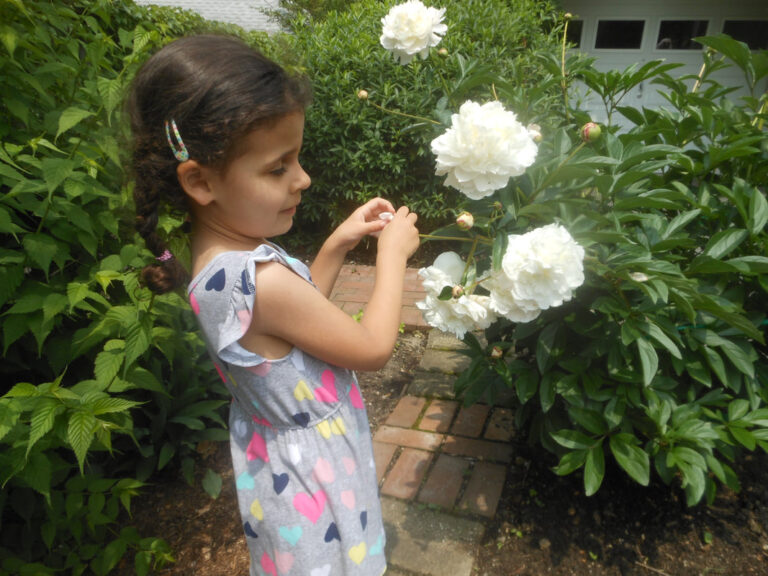 ernst-2019-06-01-122128_1_orig