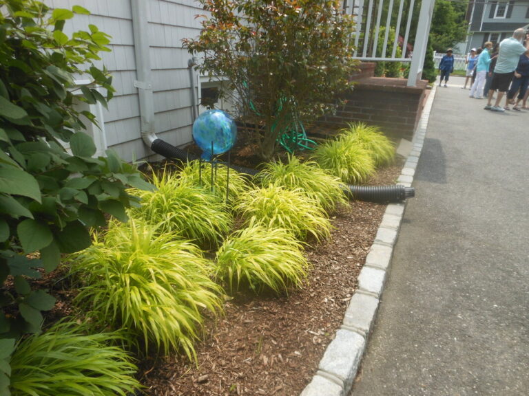 ernst-2019-06-01-122228_1_orig