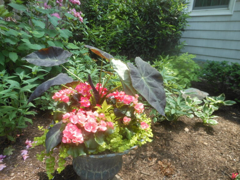 ernst-2019-06-01-122324_1_orig