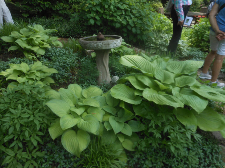 ernst-2019-06-01-123032_1_orig