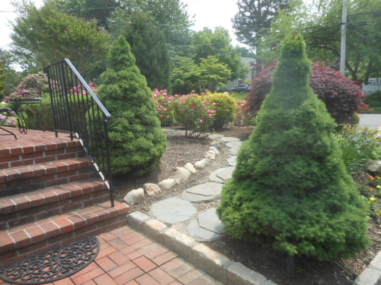 ernst-2019-06-01-123250_1_orig