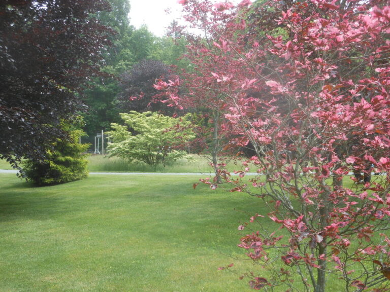 ernst-2019-06-01-130312_1_orig