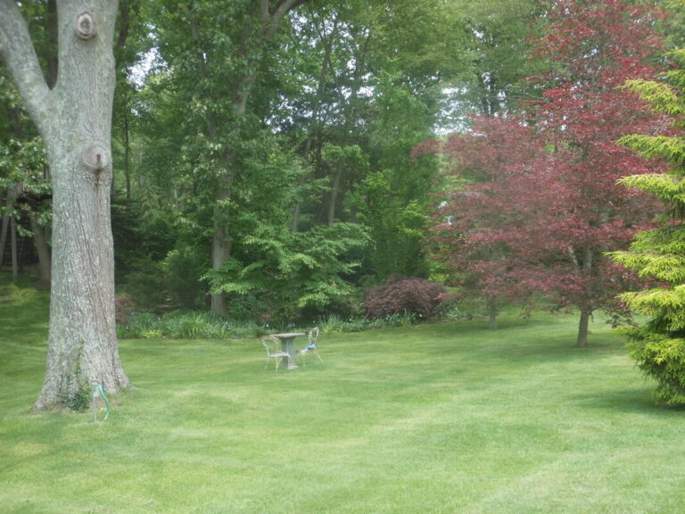 ernst-2019-06-01-130350_1_orig