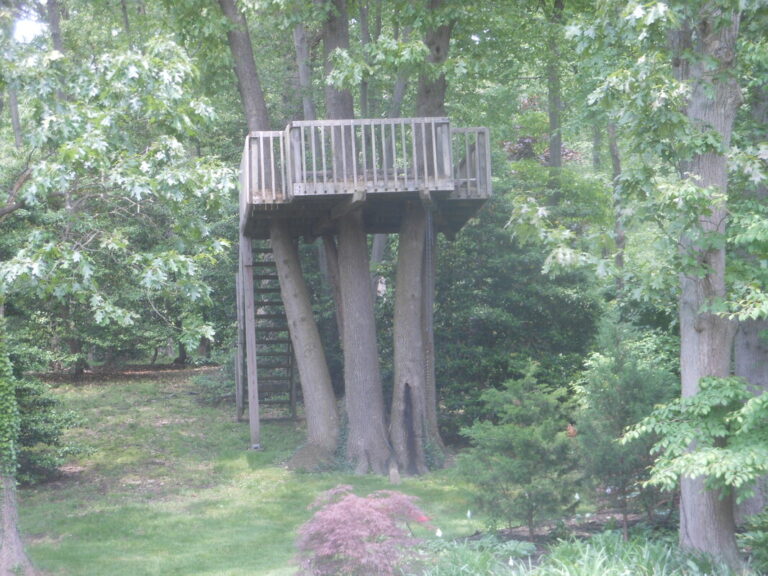 ernst-2019-06-01-130408_1_orig