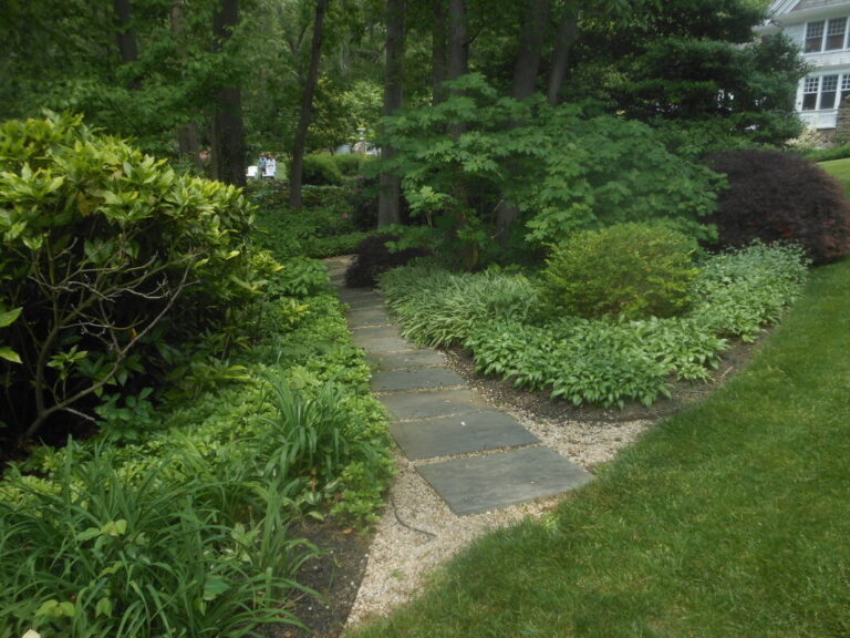 ernst-2019-06-01-130616_1_orig