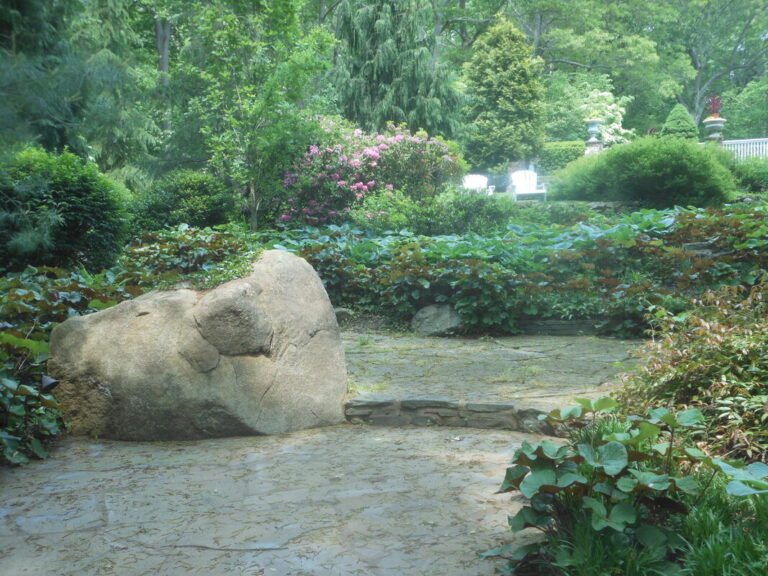 ernst-2019-06-01-130722_1_orig