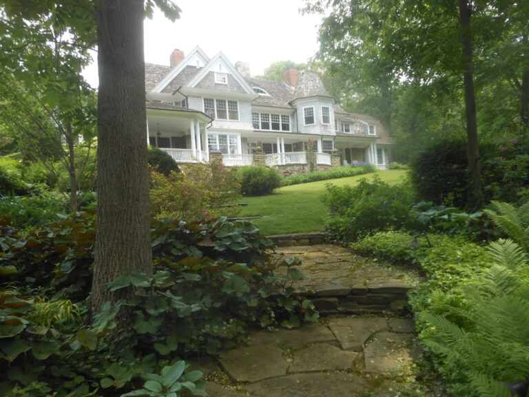 ernst-2019-06-01-130806_1_orig