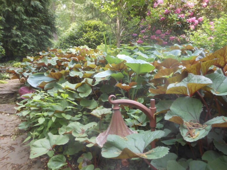 ernst-2019-06-01-130826_1_orig