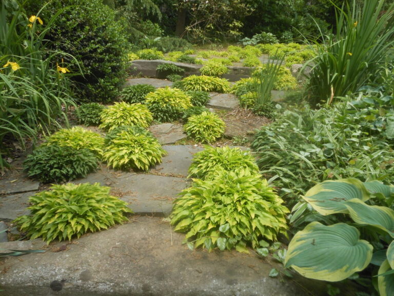 ernst-2019-06-01-130856_1_orig