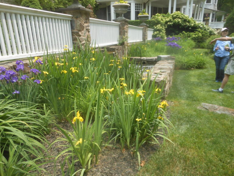 ernst-2019-06-01-130938_1_orig