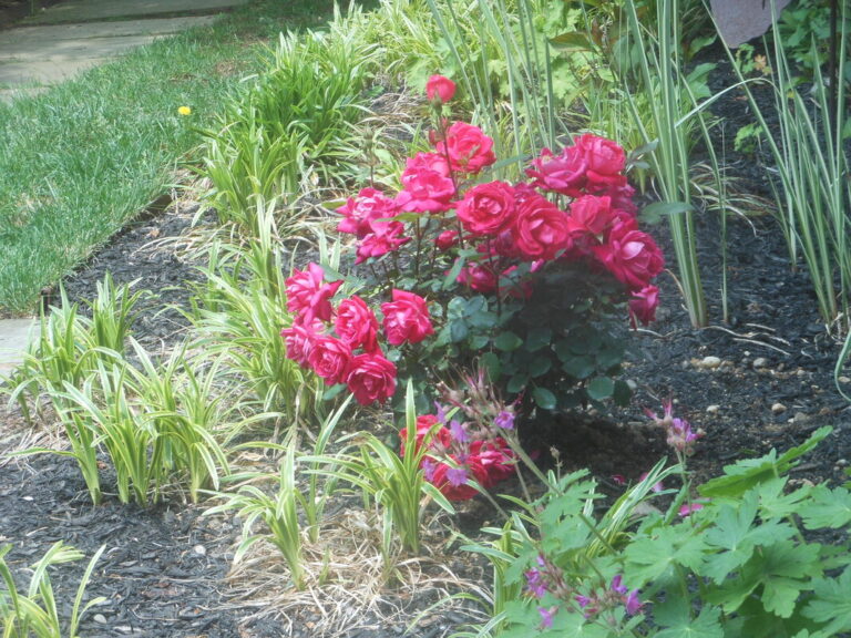 ernst-2019-06-01-131440_1_orig